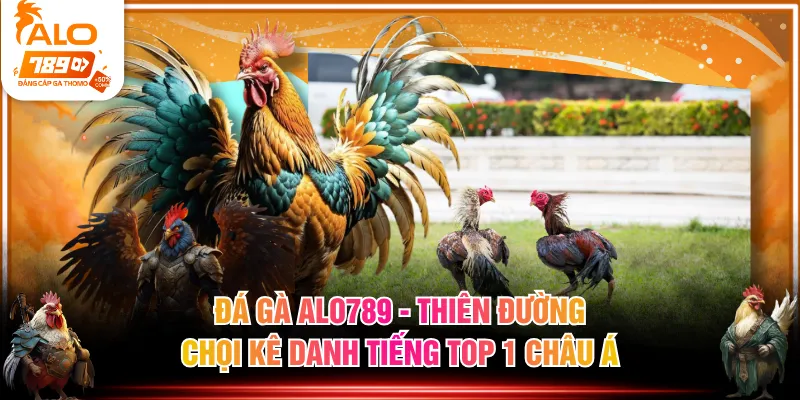 Đá gà ALO789 - Thiên đường chọi kê danh tiếng top 1 châu Á