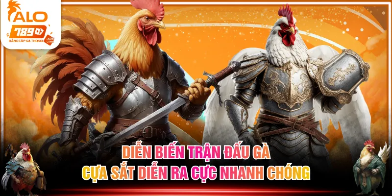 Diễn biến trận đấu gà cựa sắt diễn ra cực nhanh chóng