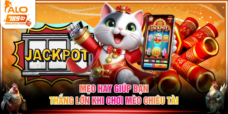 Mẹo hay giúp bạn thắng lớn khi chơi Mèo Chiêu Tài