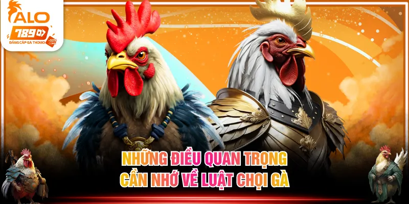 Những điều quan trọng cần nhớ về luật chọi gà