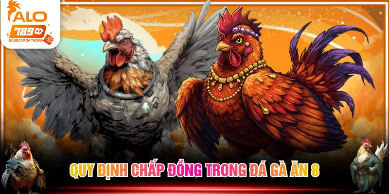 Quy định chấp đồng trong đá gà ăn 8