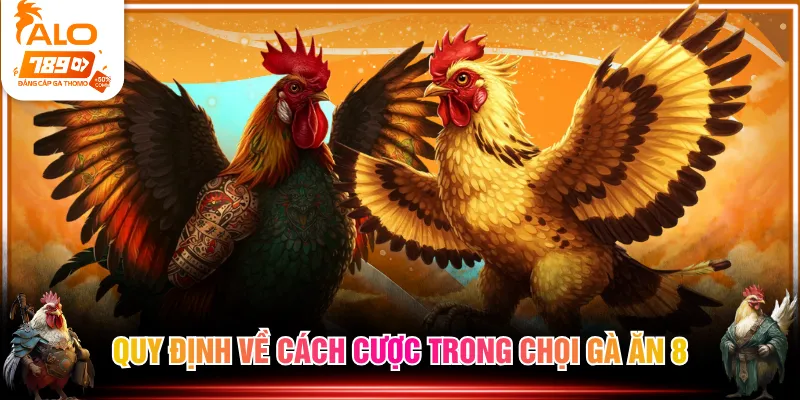 Quy định về cách cược trong chọi gà ăn 8