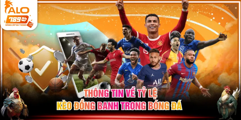 Thông tin về tỷ lệ kèo đồng banh trong bóng đá 
