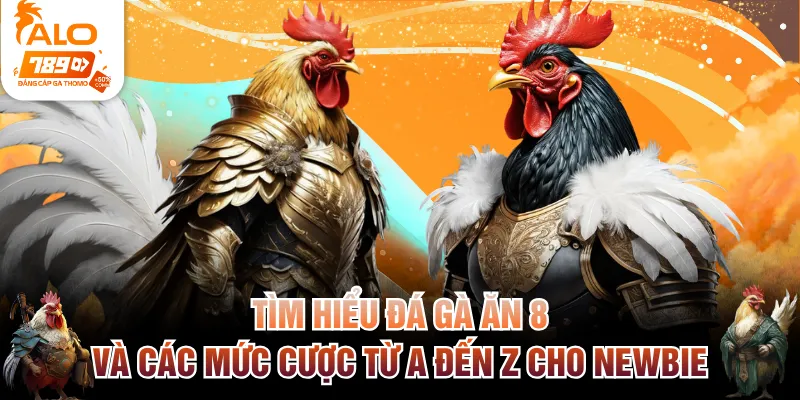 Đá gà ăn 8